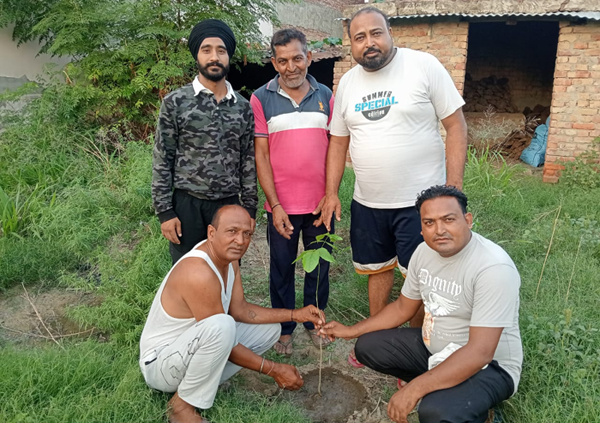 In loving memory of the late Dr. Parkash Raju U.K., the family members organized a tree plantation in the village of Sadowal.